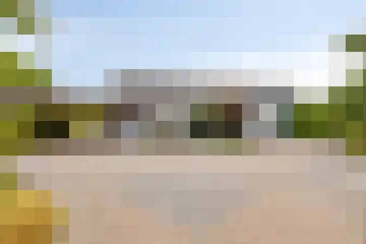Wijnkamp 38 Goor thumbnail 65