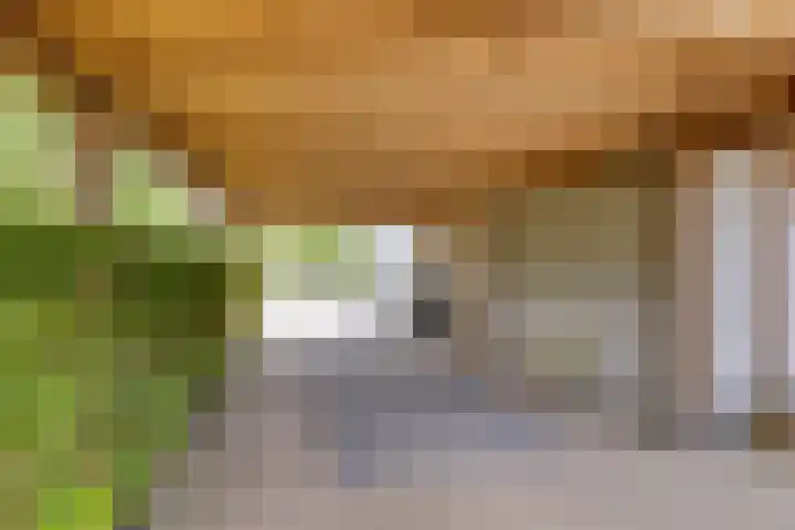 Wijnkamp 38 Goor thumbnail 66