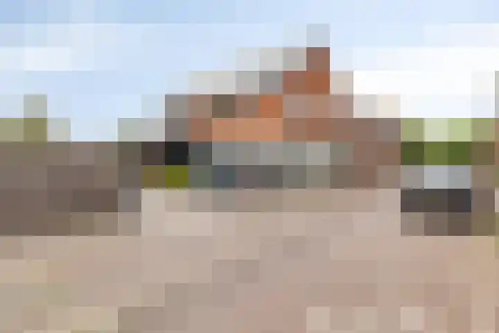 Wijnkamp 38 Goor thumbnail 72