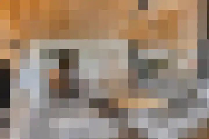 Wijnkamp 38 Goor thumbnail 8