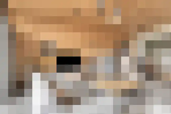 Wijnkamp 38 Goor thumbnail 9