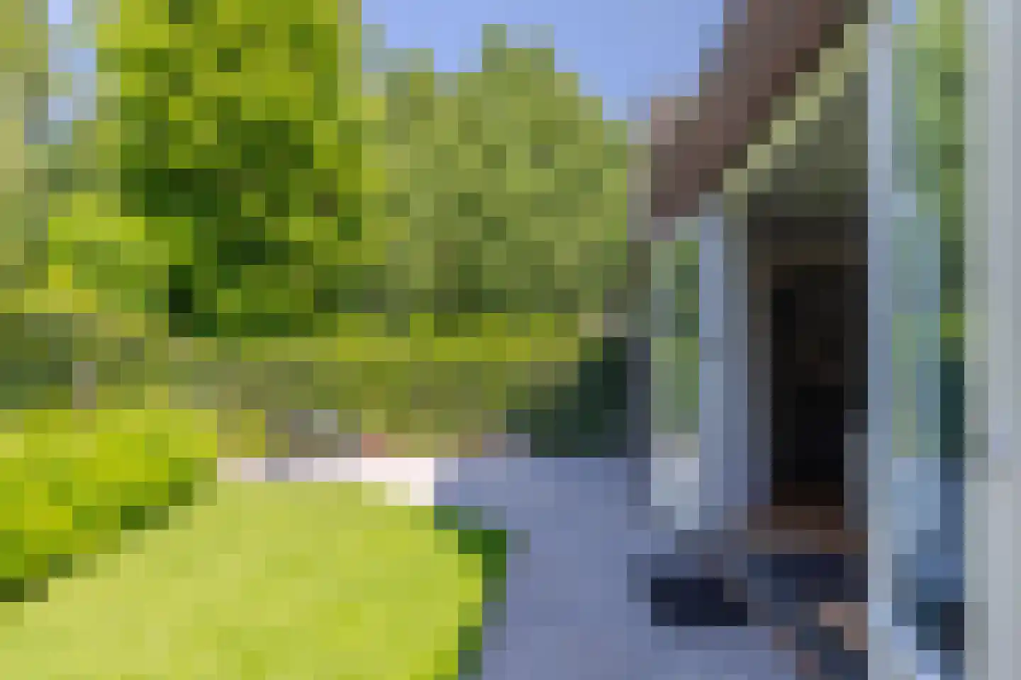 Wijnkers 17 Arnhem thumbnail 15