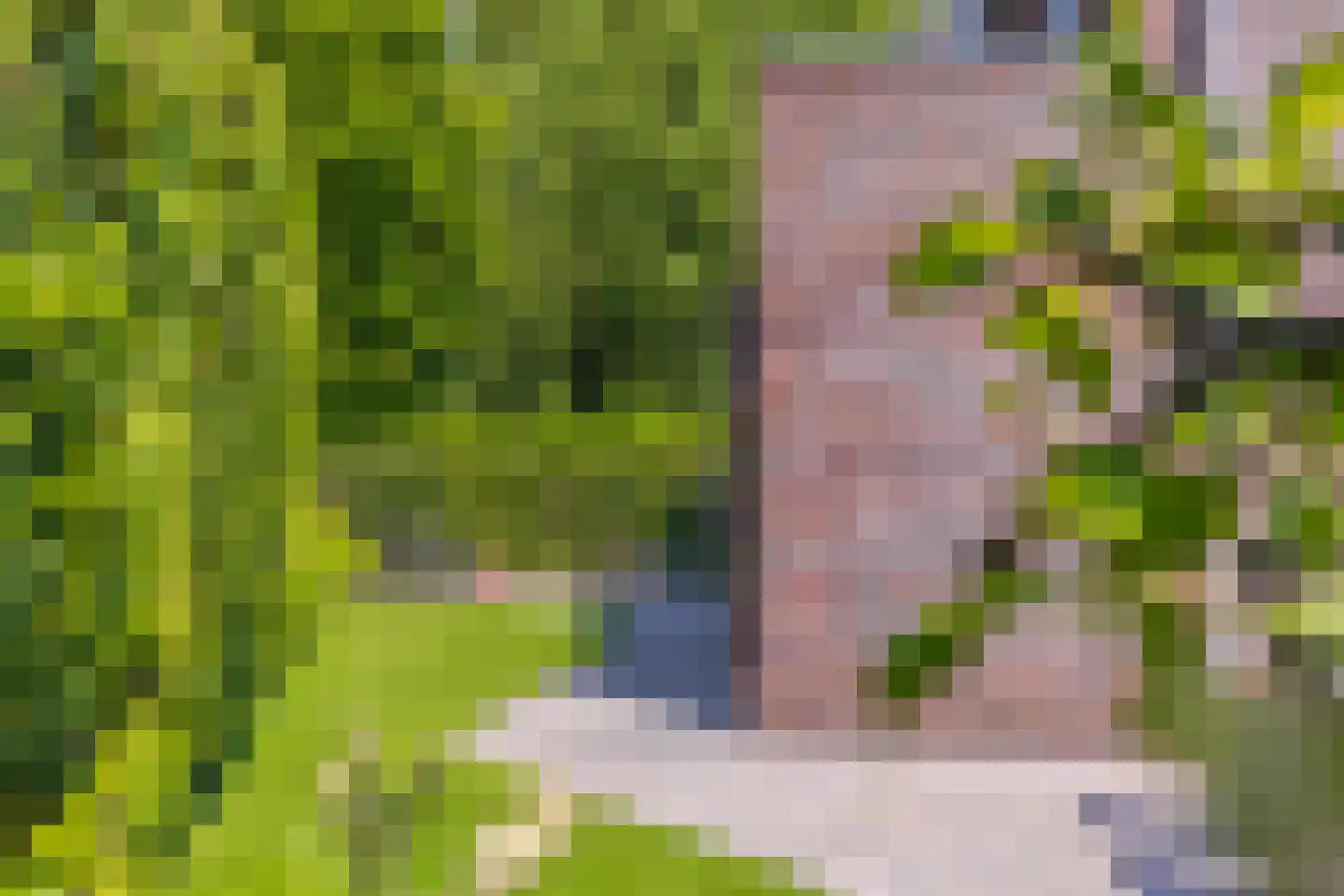 Wijnkers 17 Arnhem thumbnail 17