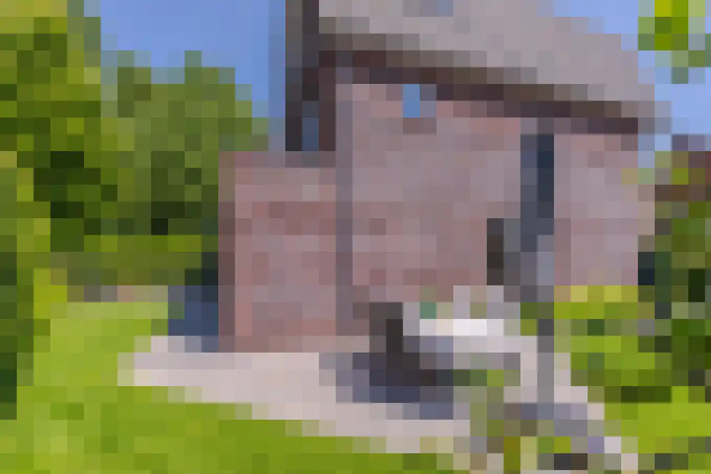 Wijnkers 17 Arnhem thumbnail 18