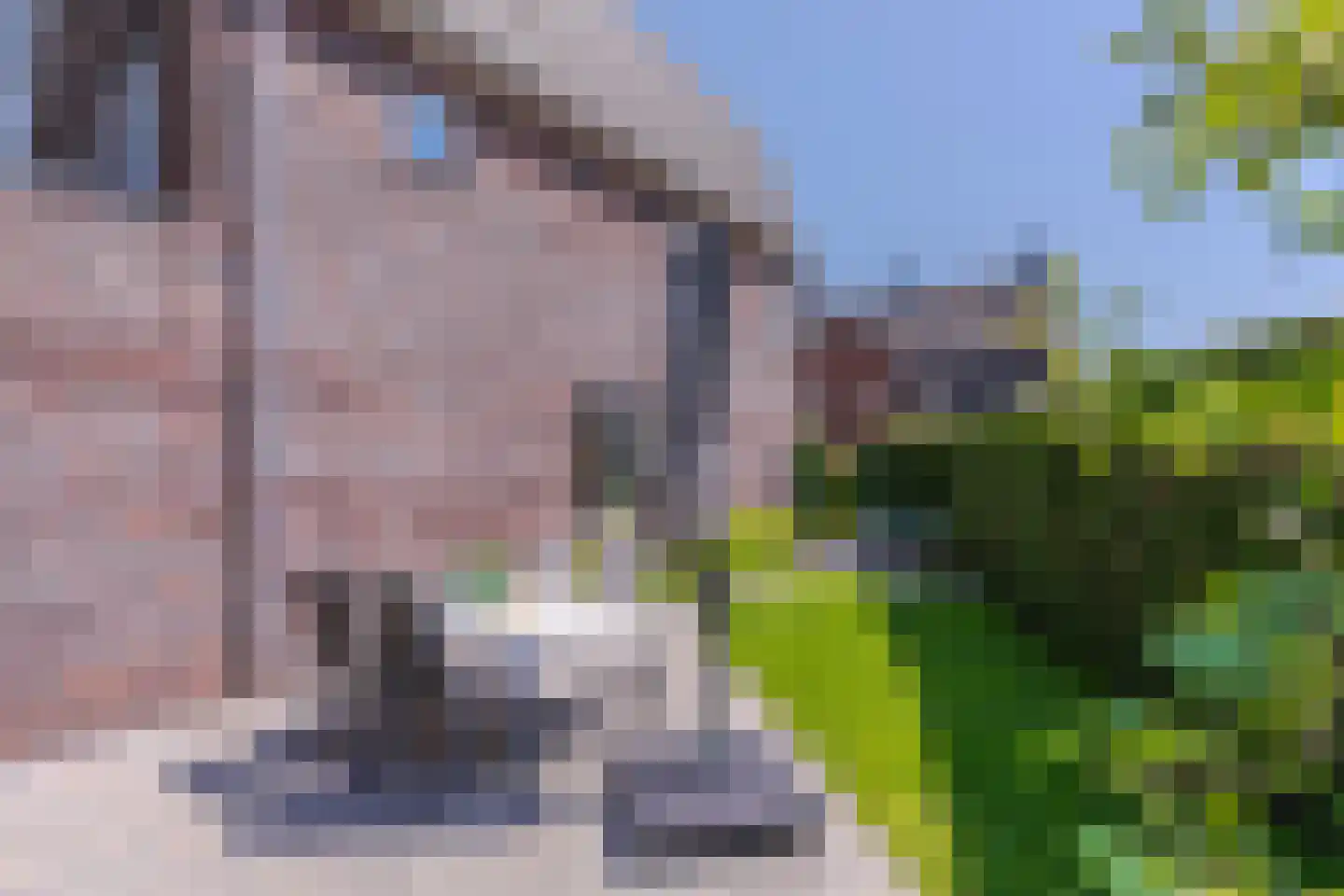 Wijnkers 17 Arnhem thumbnail 19