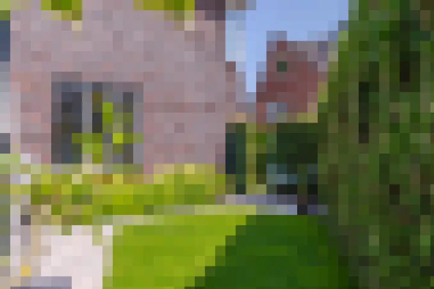 Wijnkers 17 Arnhem thumbnail 20