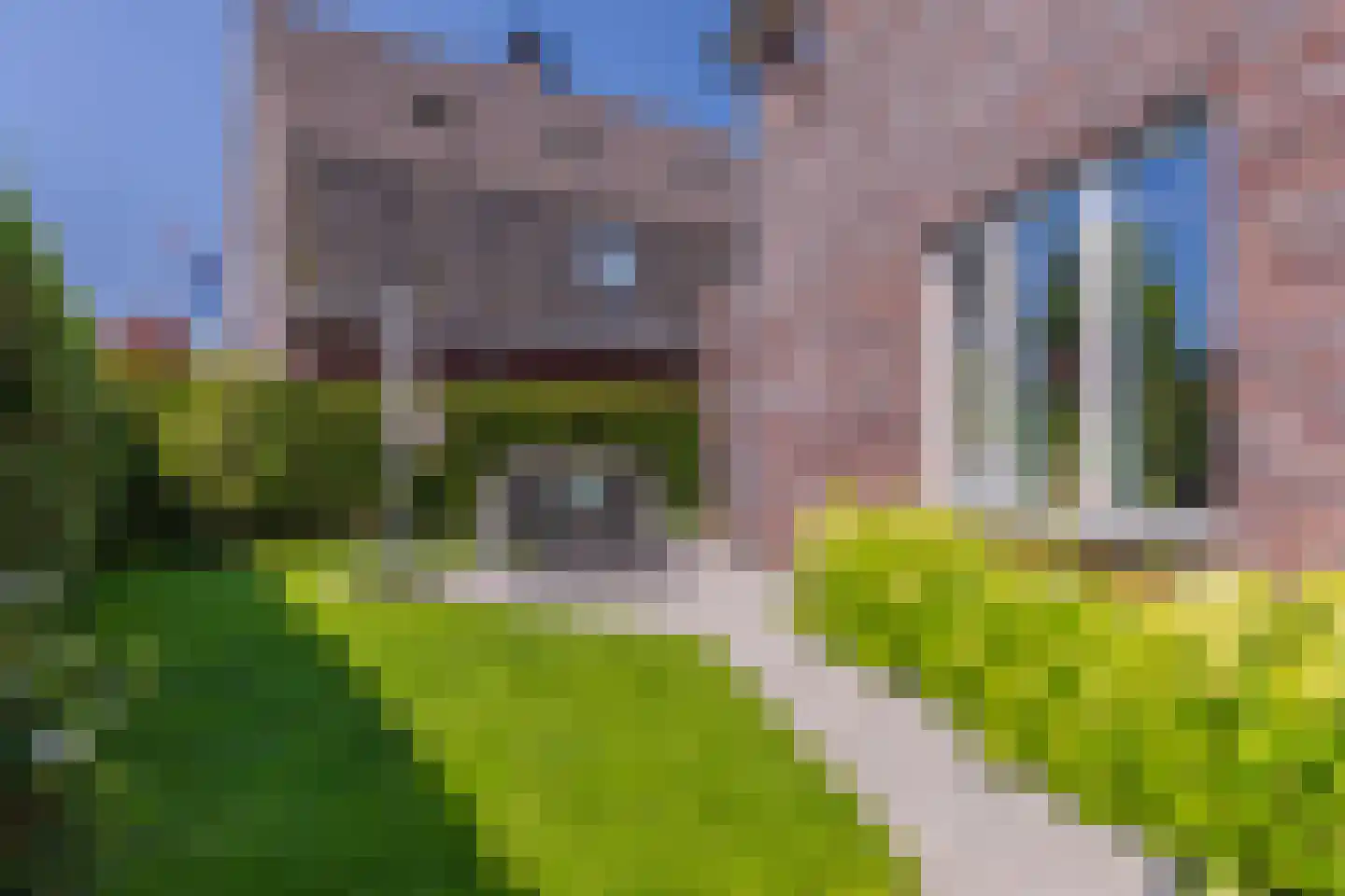 Wijnkers 17 Arnhem thumbnail 21