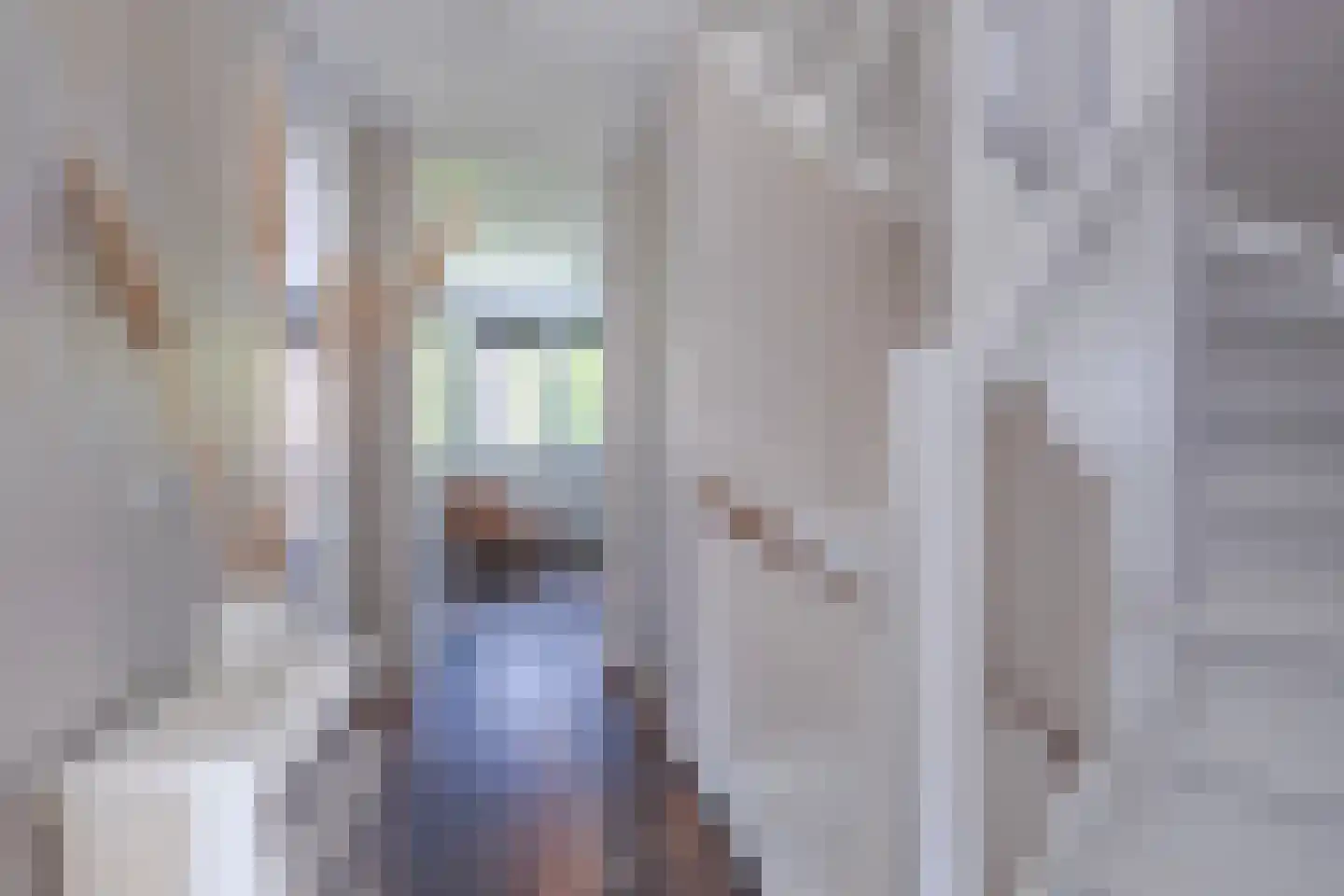 Wijnkers 17 Arnhem thumbnail 23