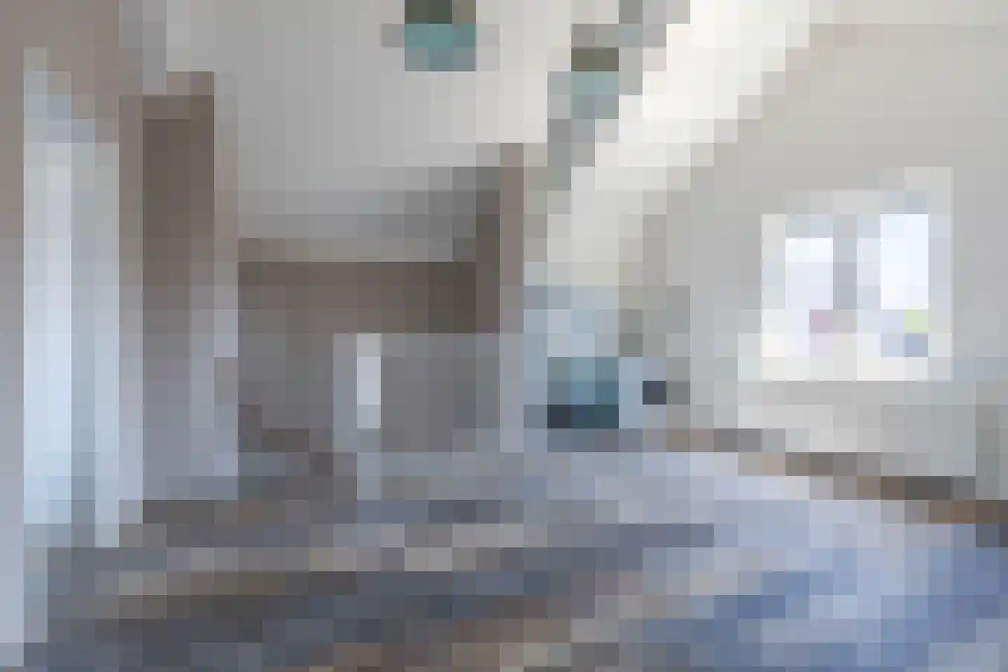 Wijnkers 17 Arnhem thumbnail 30
