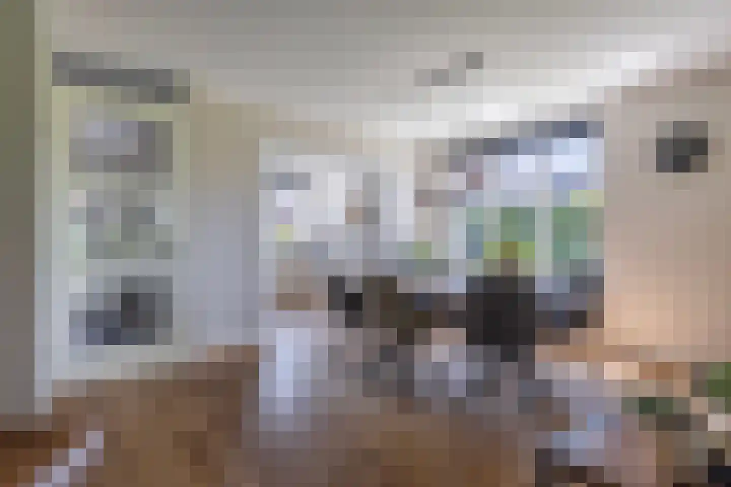 Wijnkers 17 Arnhem thumbnail 8