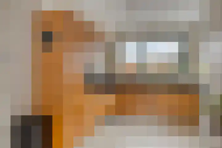 Wijnkers 20 Arnhem thumbnail 13