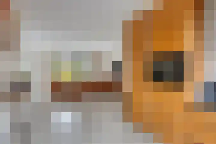 Wijnkers 20 Arnhem thumbnail 15