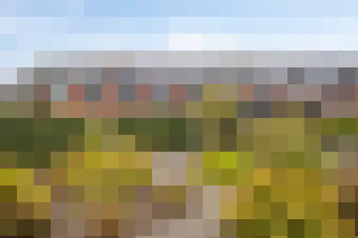 Wijnkers 20 Arnhem foto 2