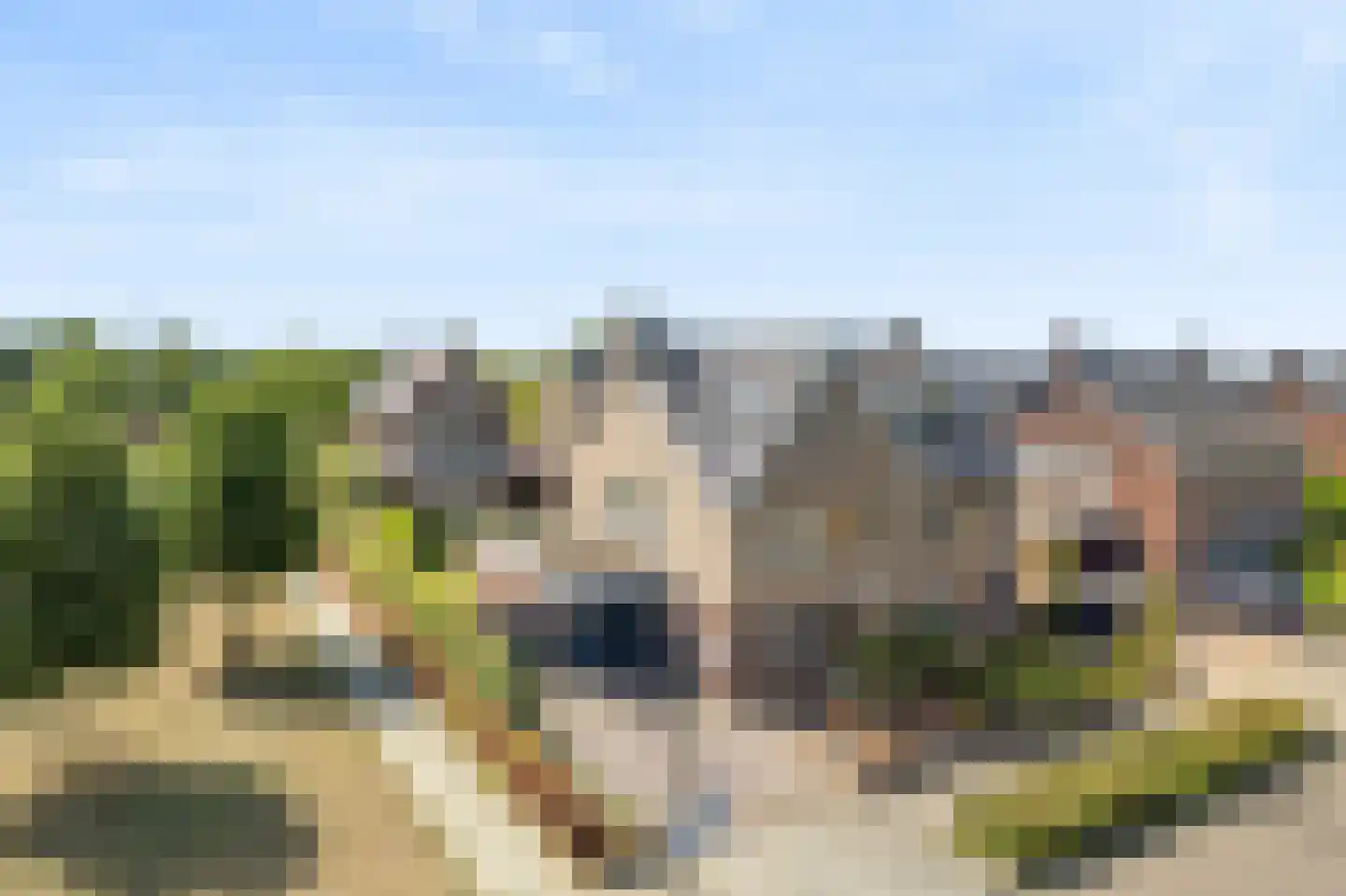 Wijnkers 3 Elst thumbnail 37