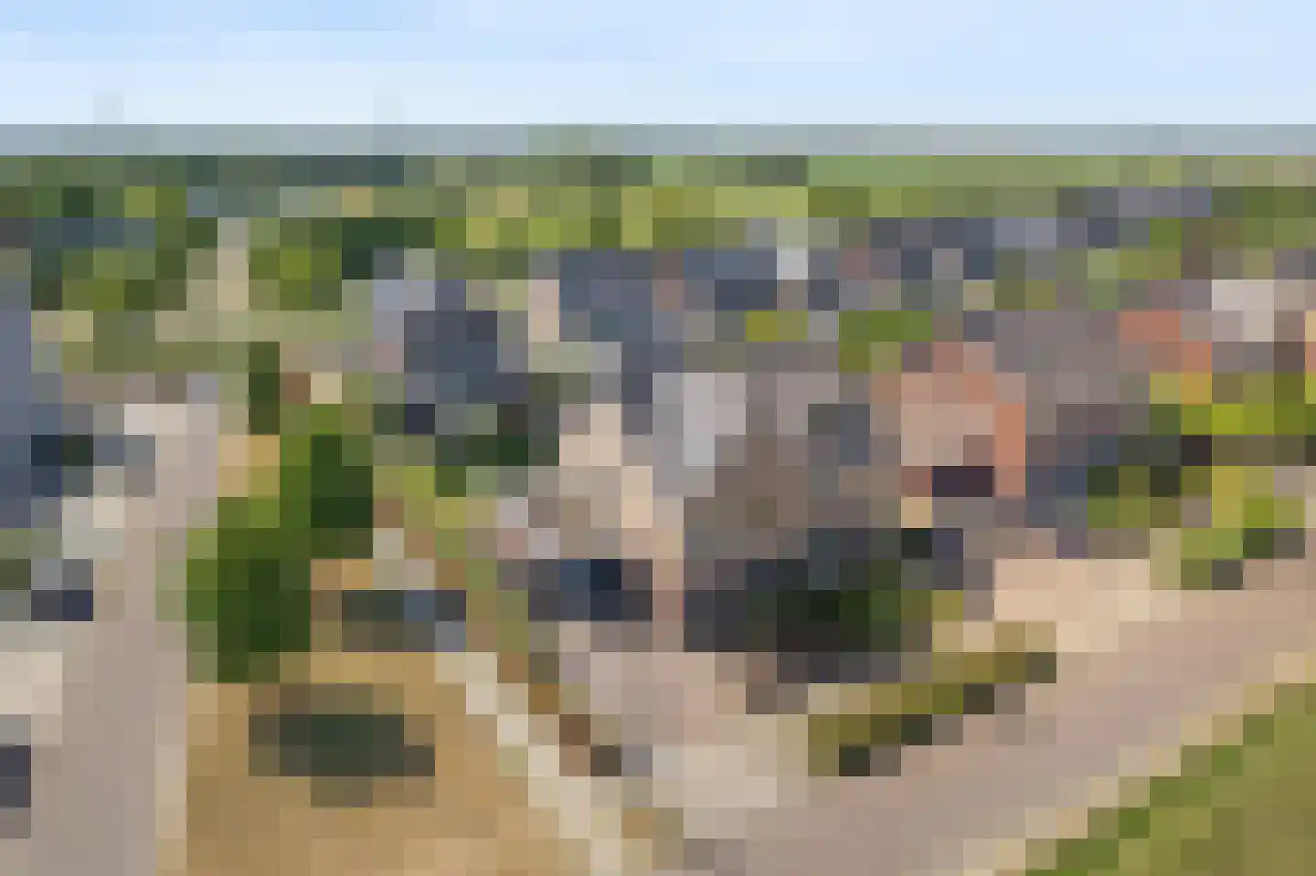 Wijnkers 3 Elst thumbnail 39