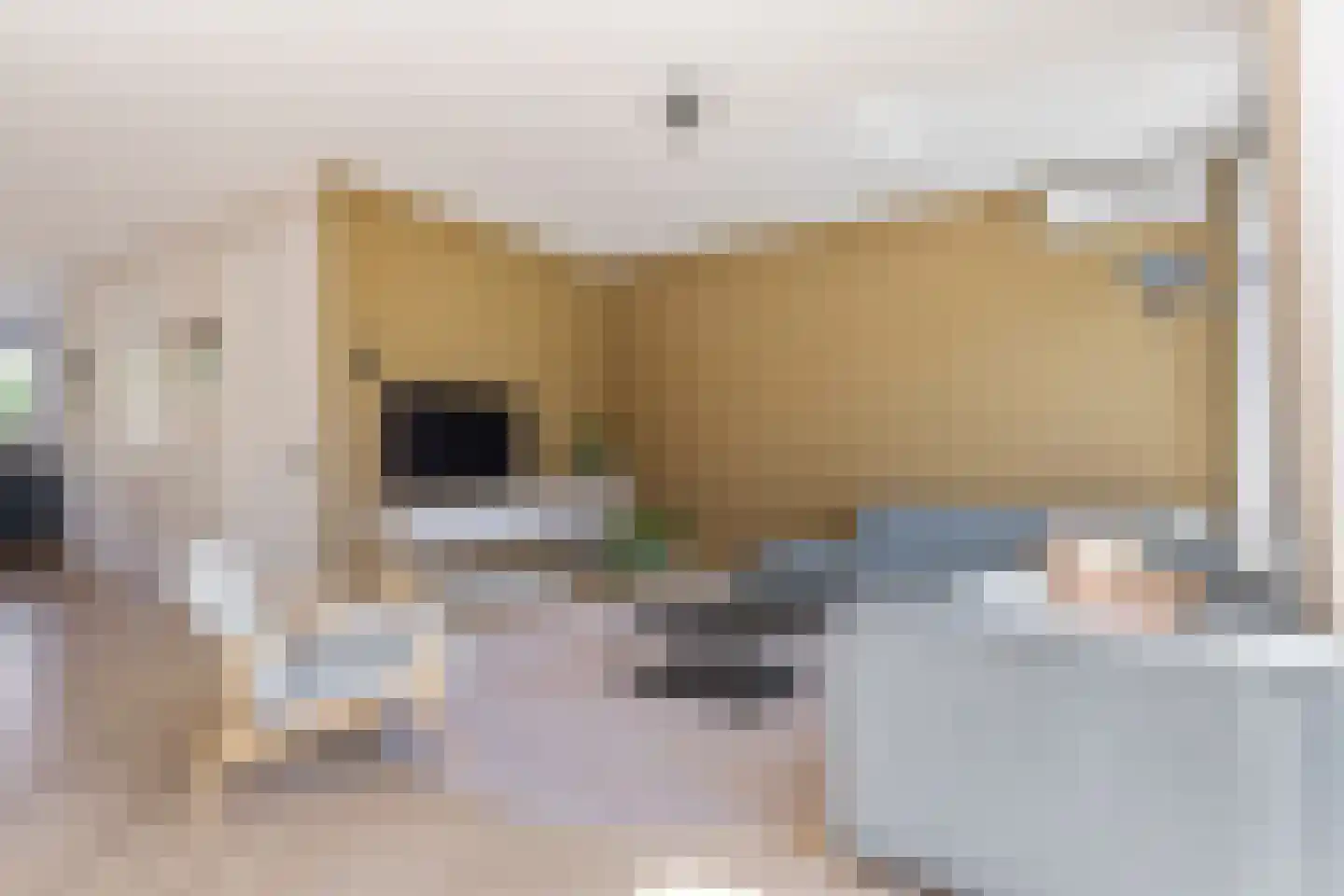 Wijnkers 3 Elst thumbnail 9