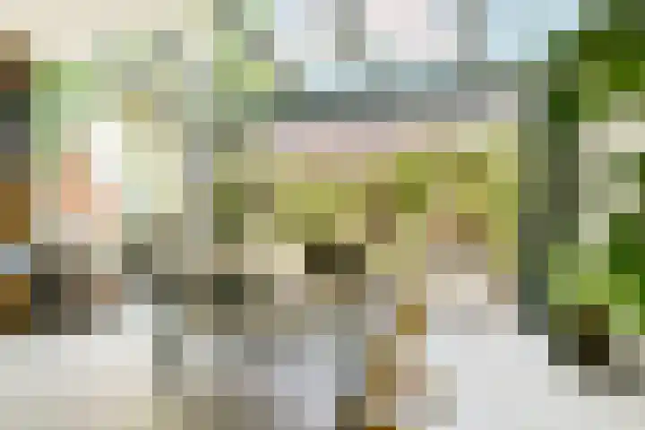 Wijnkersstraat 20 Amsterdam thumbnail 13