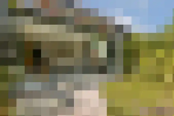 Wijnkersstraat 20 Amsterdam thumbnail 16