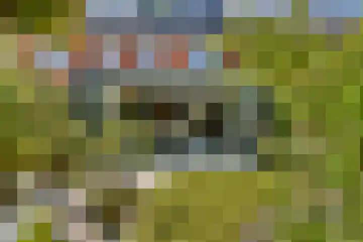 Wijnkersstraat 20 Amsterdam thumbnail 17