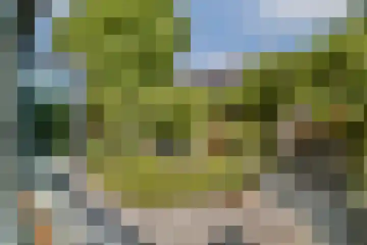 Wijnkersstraat 20 Amsterdam thumbnail 18