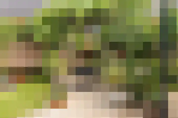 Wijnkersstraat 20 Amsterdam thumbnail 19