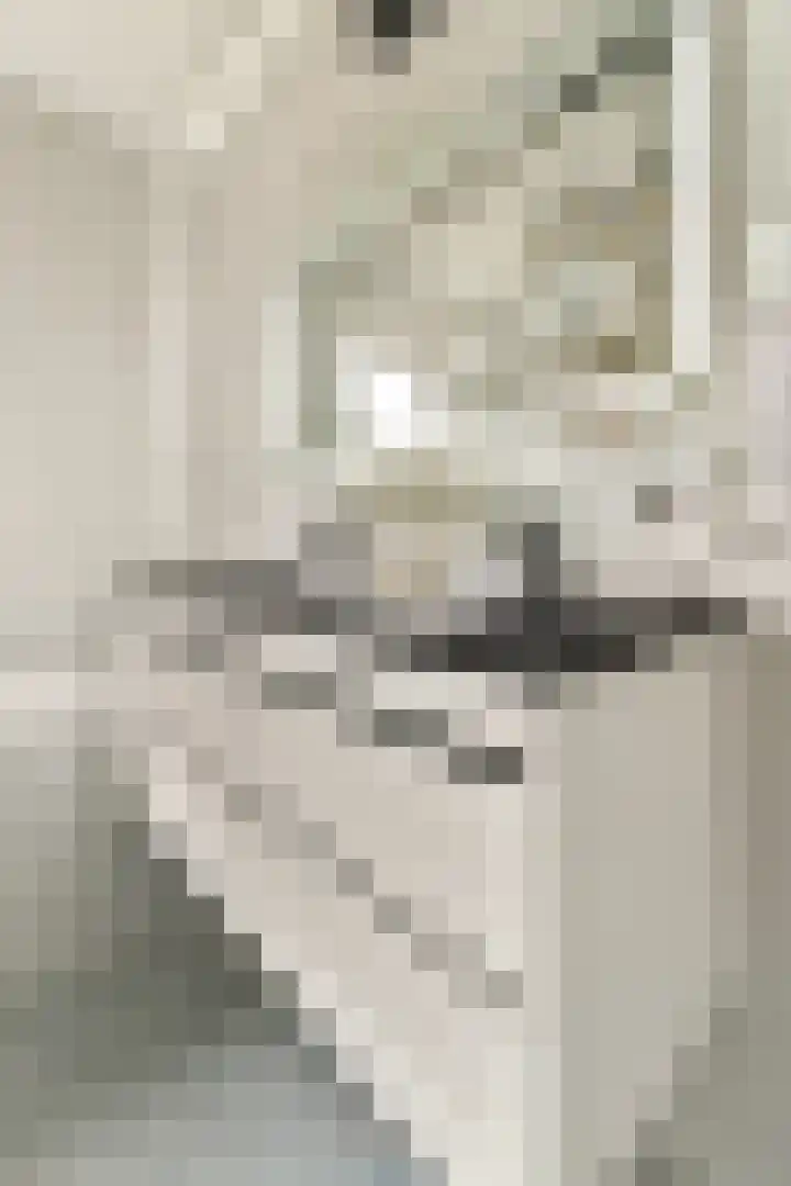 Wijnkersstraat 20 Amsterdam thumbnail 31