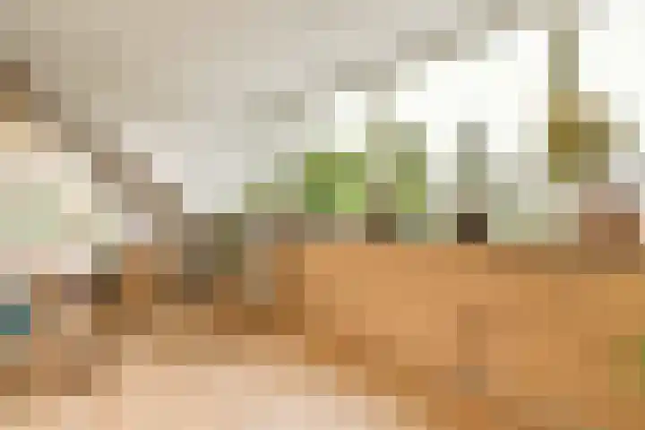 Wijnkersstraat 20 Amsterdam thumbnail 35