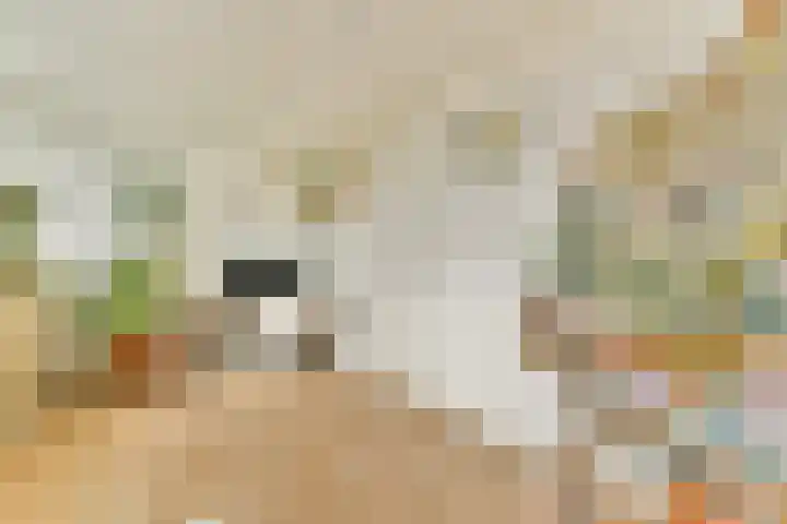 Wijnkersstraat 20 Amsterdam thumbnail 36