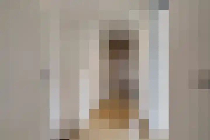 Wijnkersstraat 55 Nijmegen thumbnail 22