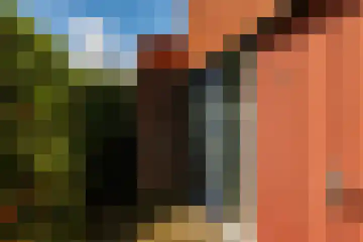 Wijnkersstraat 55 Nijmegen thumbnail 37