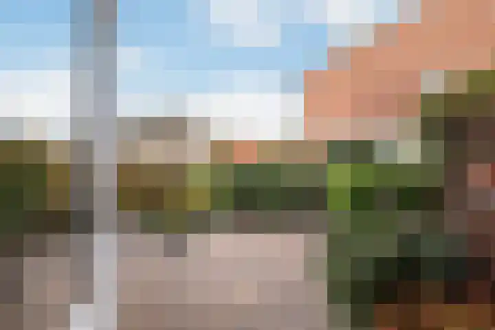 Wijnkoopsbaai 47 Capelle aan den IJssel thumbnail 19