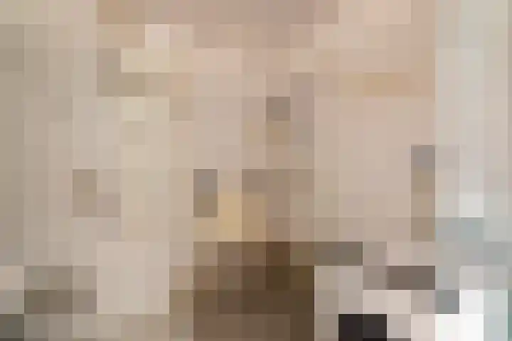 Wijnkoopsbaai 47 Capelle aan den IJssel thumbnail 31
