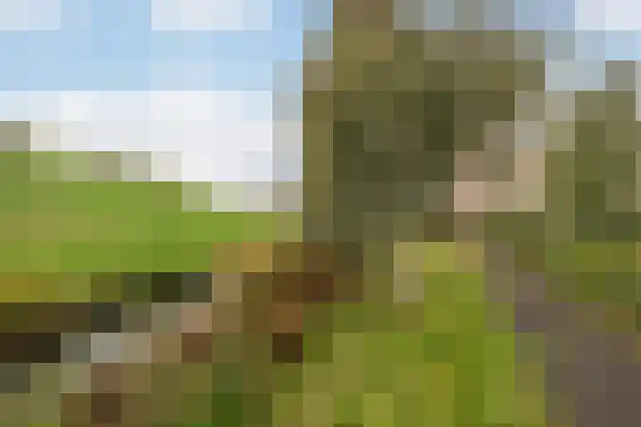 Wijnkoopsbaai 47 Capelle aan den IJssel thumbnail 41