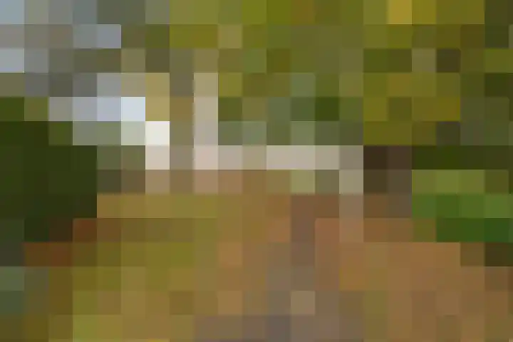 Wijnkoopsbaai 47 Capelle aan den IJssel thumbnail 42