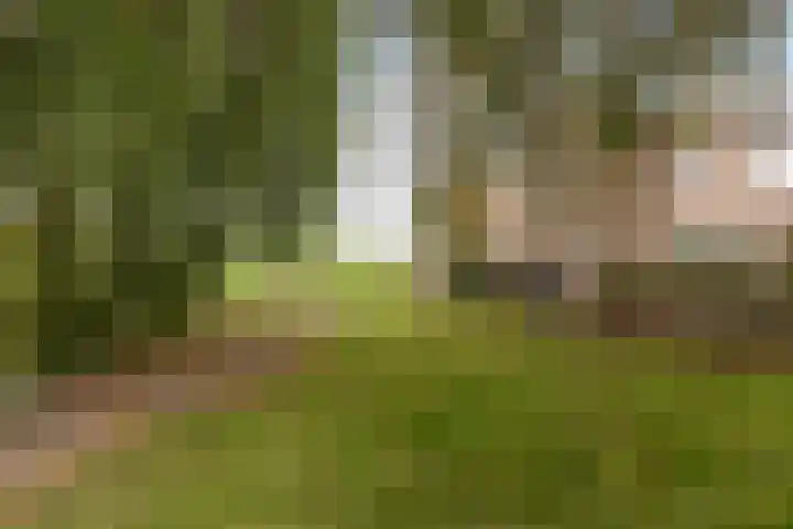 Wijnkoopsbaai 47 Capelle aan den IJssel thumbnail 43