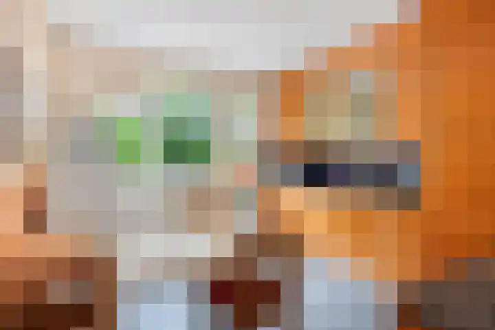 Wijnkoopsbaai 6 Capelle aan den IJssel thumbnail 10