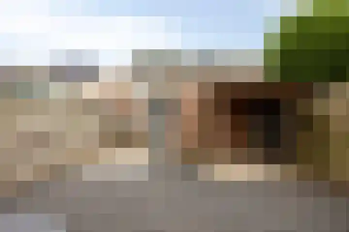Wijnkoopsbaai 6 Capelle aan den IJssel thumbnail 33