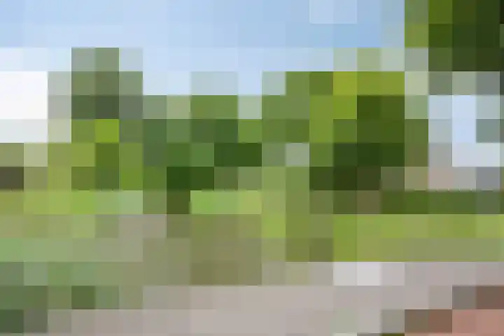 Wijnkoopsbaai 6 Capelle aan den IJssel thumbnail 36