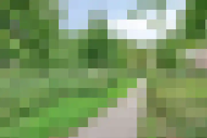 Wijnkoopsbaai 6 Capelle aan den IJssel thumbnail 37