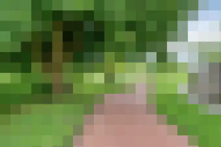 Wijnkoopsbaai 6 Capelle aan den IJssel thumbnail 38