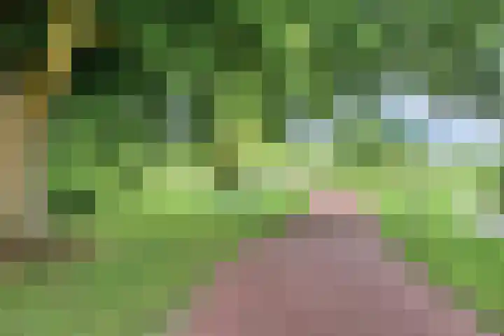 Wijnkoopsbaai 6 Capelle aan den IJssel thumbnail 40