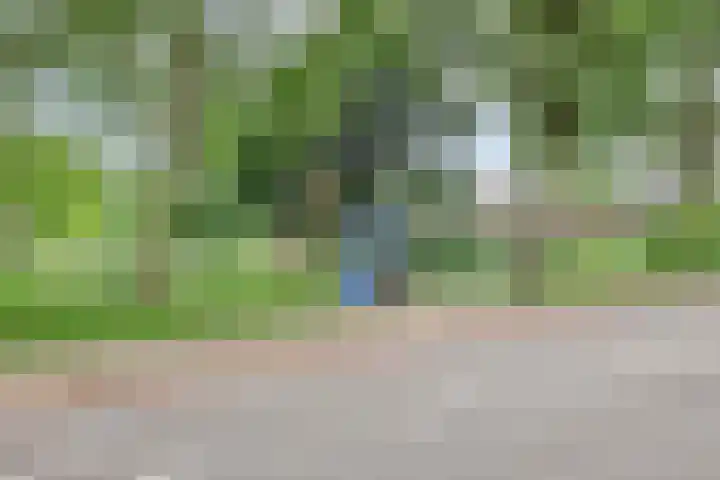 Wijnkoopsbaai 6 Capelle aan den IJssel thumbnail 41