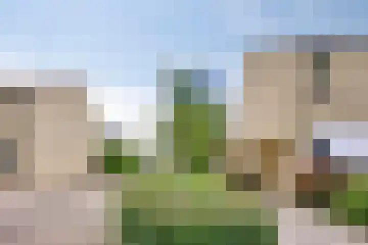 Wijnkoopsbaai 6 Capelle aan den IJssel thumbnail 42
