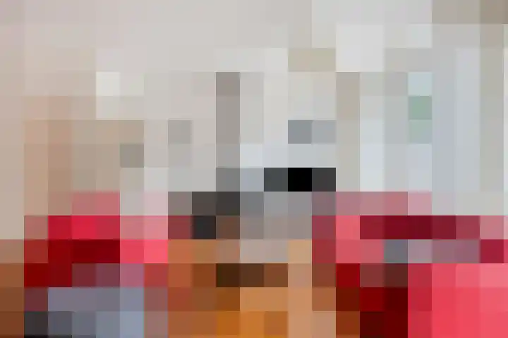 Wijnkoopsbaai 6 Capelle aan den IJssel thumbnail 7
