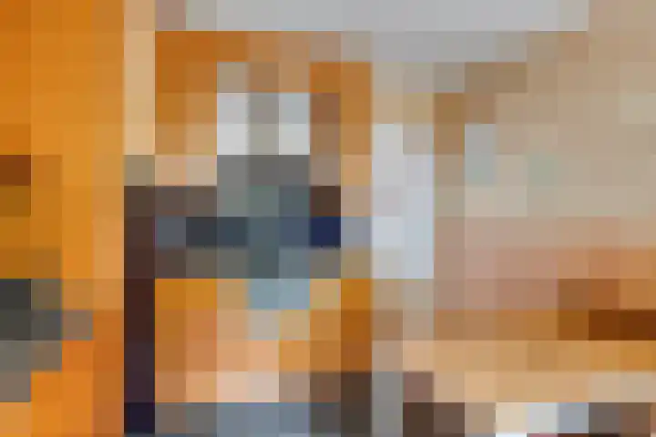 Wijnkoopsbaai 6 Capelle aan den IJssel thumbnail 9