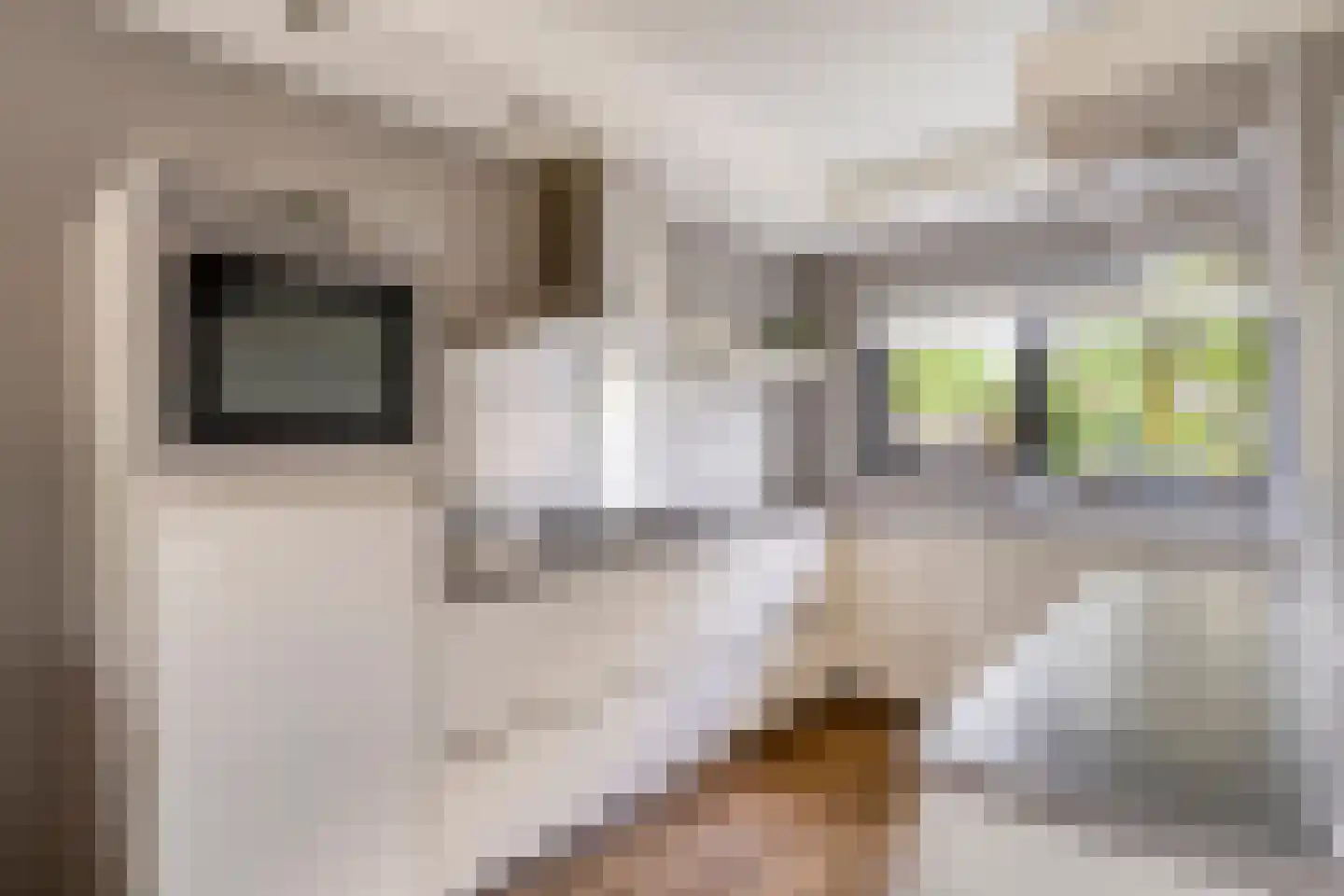Wijnkoper 24 Oss thumbnail 10