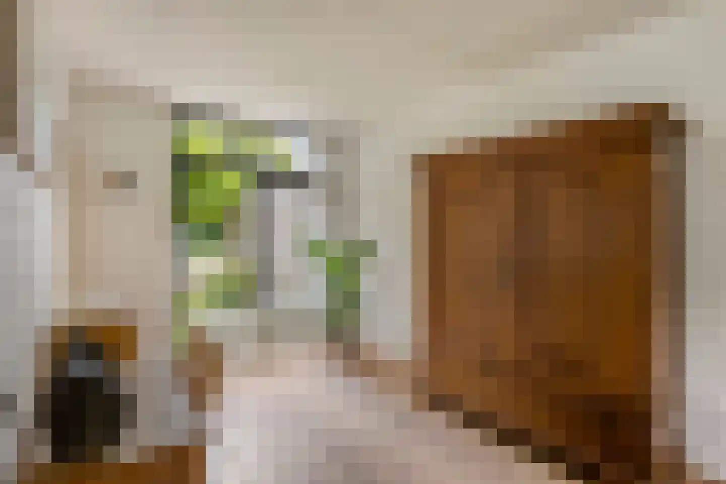 Wijnkoper 24 Oss thumbnail 17