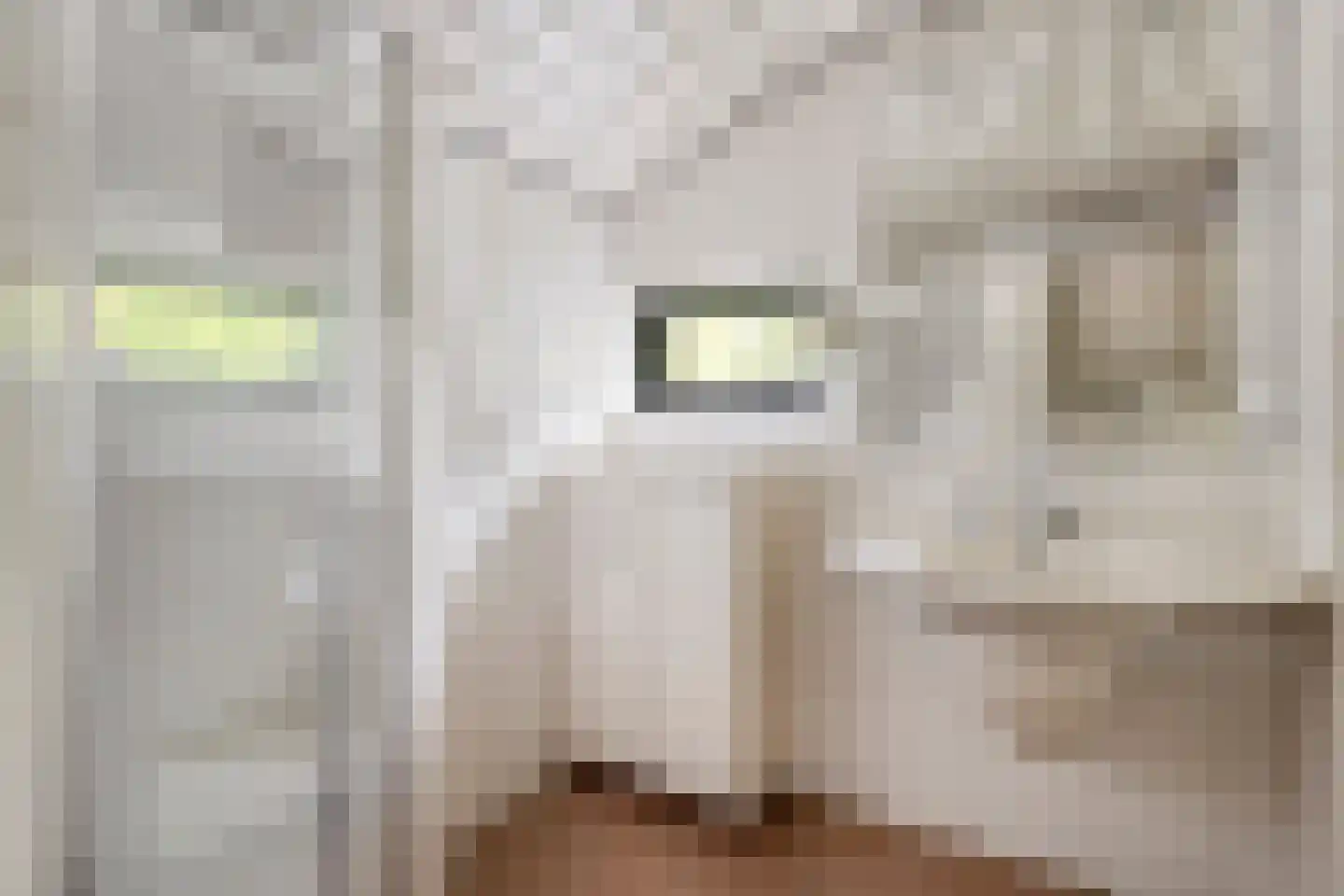 Wijnkoper 24 Oss thumbnail 22