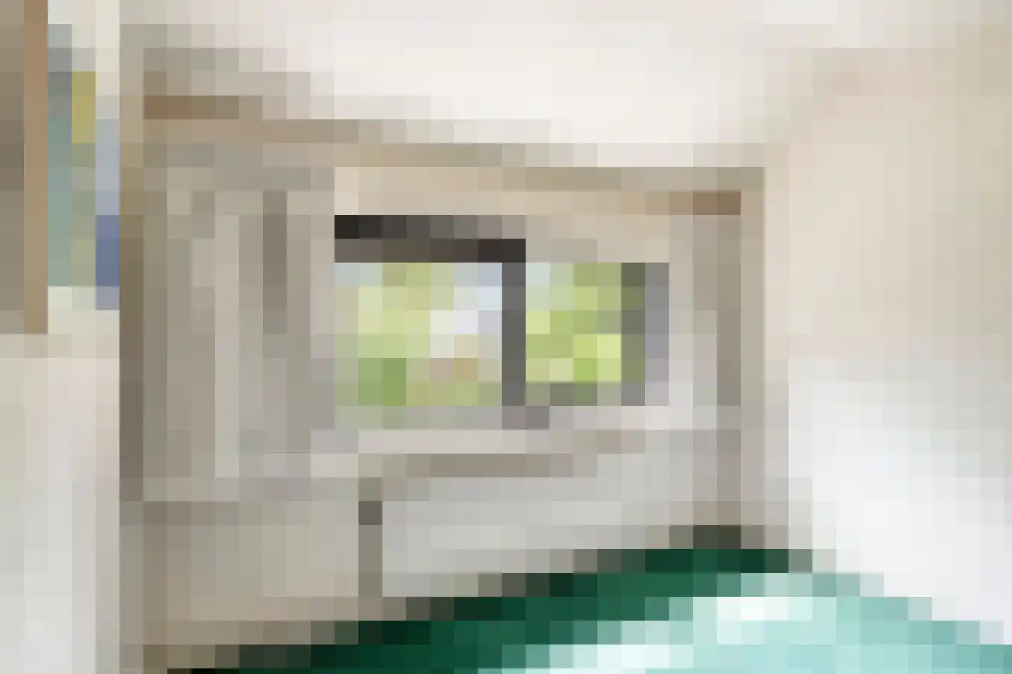 Wijnkoper 24 Oss thumbnail 25
