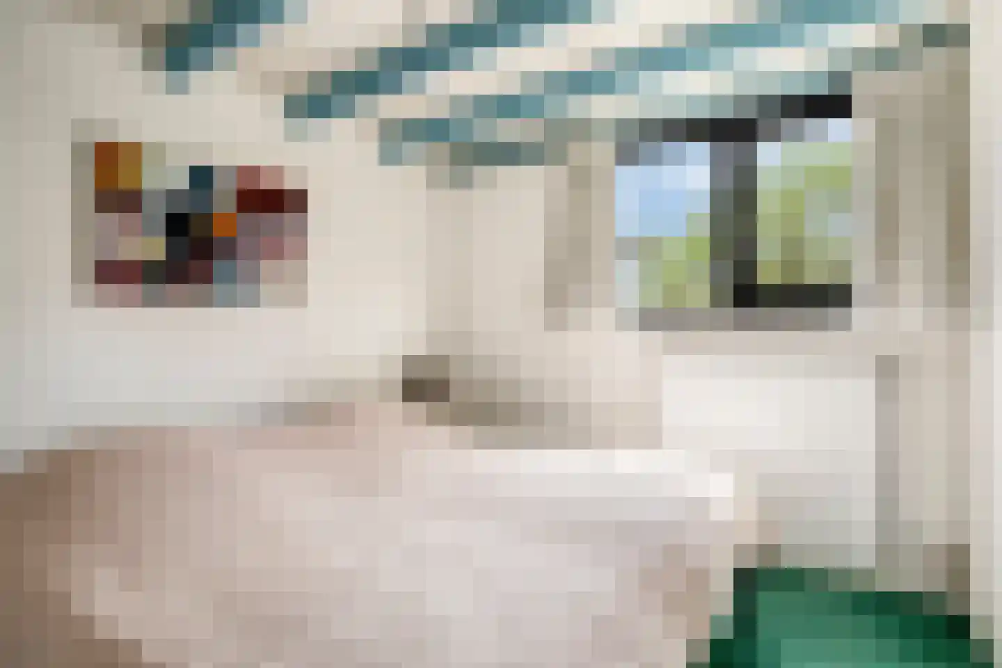Wijnkoper 24 Oss thumbnail 31